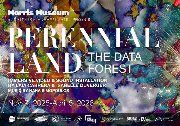 Perennial Land immersive experience at Morris Museum
