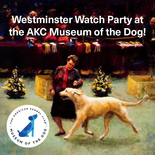 Westminster Watch Party at AKC Museum of the Dog