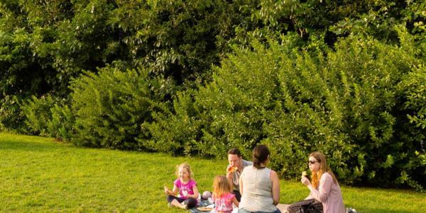 Slow Summer Reading Parties with Reading Rhythms at Brooklyn Bridge Park at Brooklyn Bridge Park