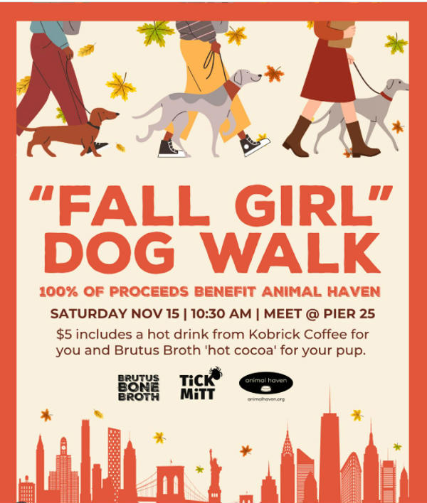 “Fall Girl” Dog Walk and Adoption Event at Pier 25
