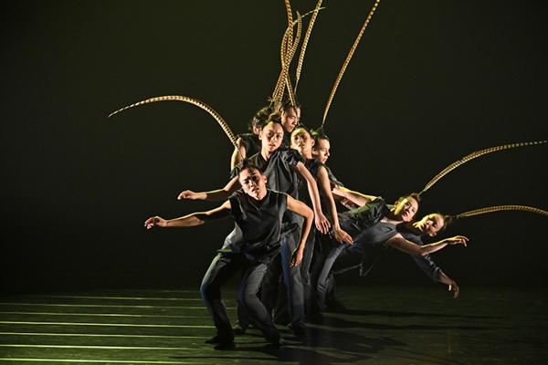 Hung Dance presents BIRDY at NYU Skirball