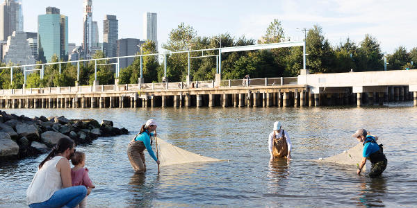 What Lives in the East River? at Brooklyn Bridge Park, Pier 4 Beach
