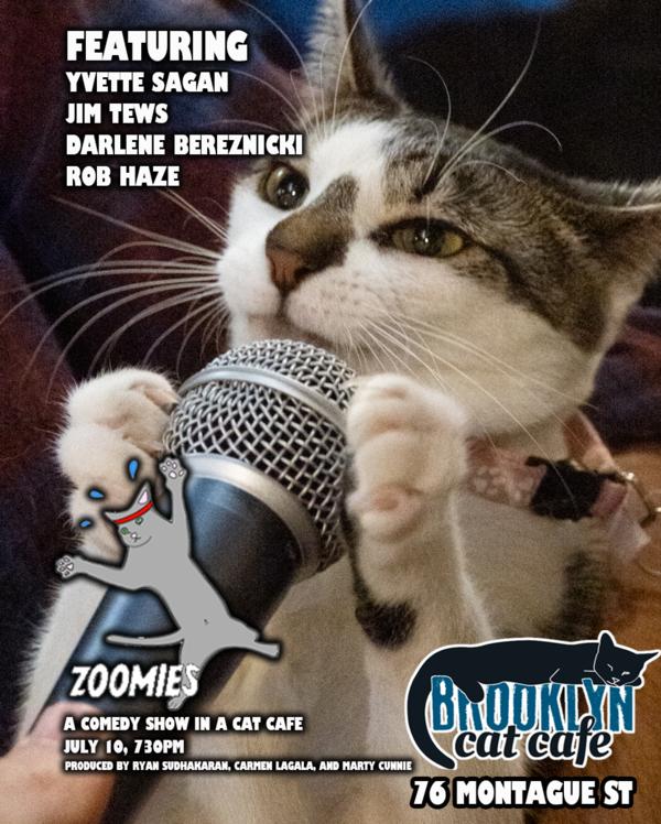 Zoomies! A Comedy Show in a Cat Cafe FEAT ASHLEY GAVIN at Brooklyn Cat Cafe