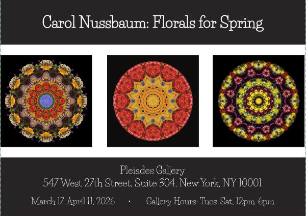 Carol Nussbaum: Florals for Spring at Pleiades Gallery