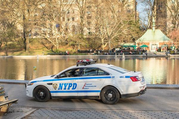 Central Park: Scandal & Vice Walking Tour at Central Park