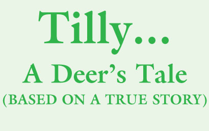 Tilly...A Deer's Tale