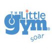 The Little Gym 