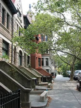street in Park Slope, Brooklyn; tree-lined nyc street
