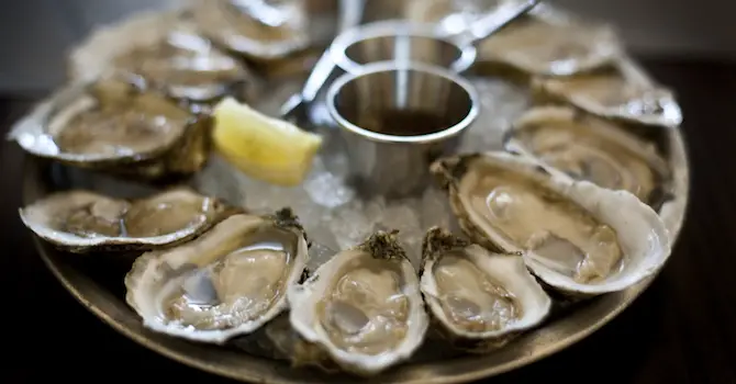 Celebrate National Oyster Day in NYC