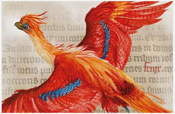 Order of the Phoenix Illustration Jim Kay
