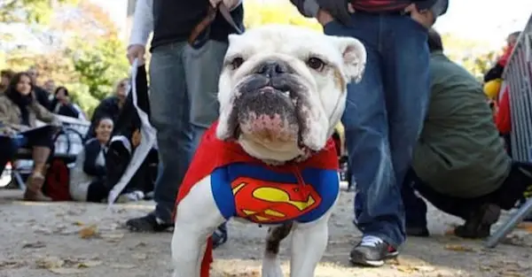 Tompkins Square Halloween Parade 