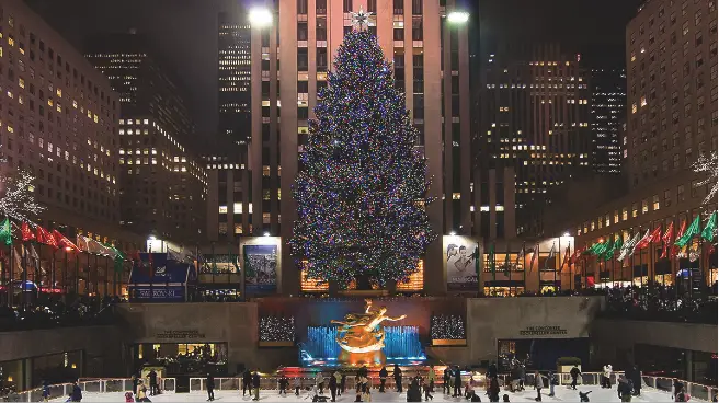 rock center tree