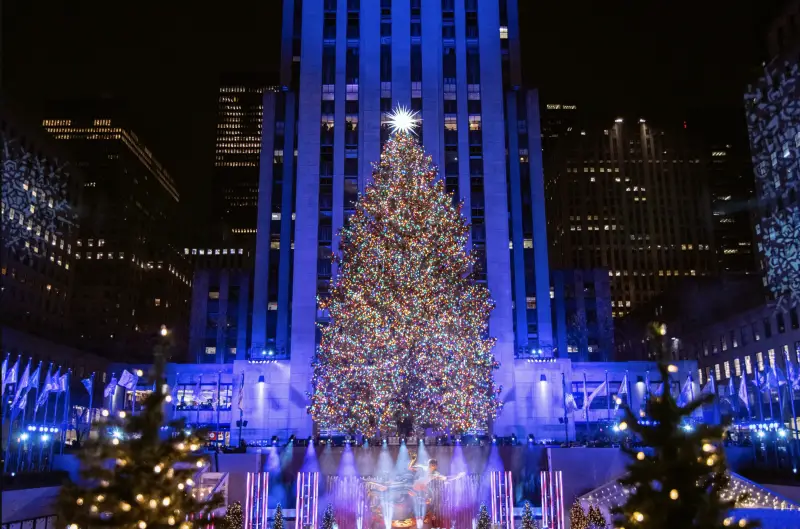 rock center tree lit