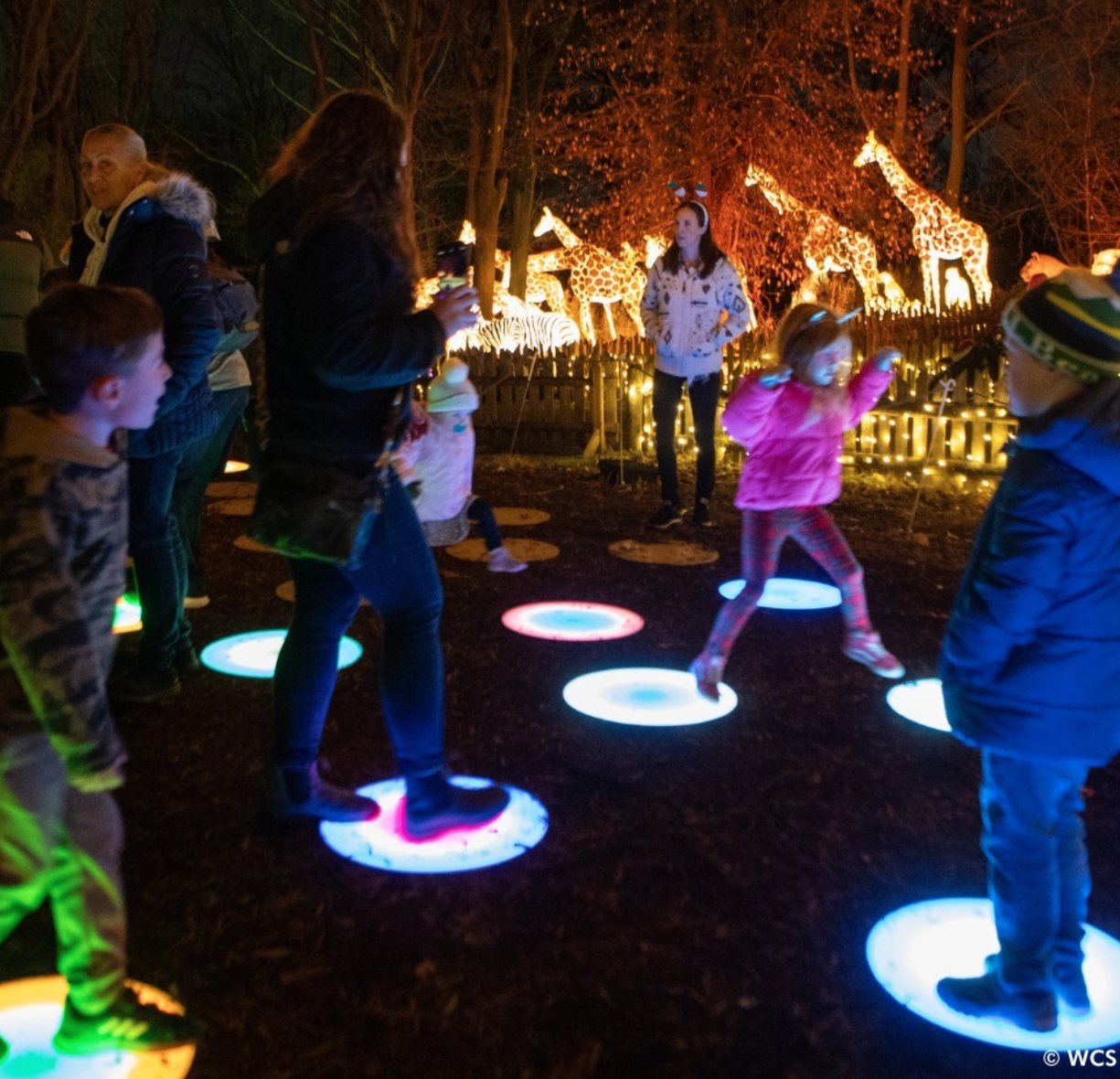 Bronx Zoo Holiday LIghts