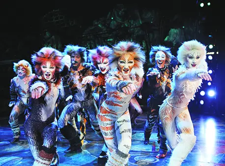 Cats on Broadway 