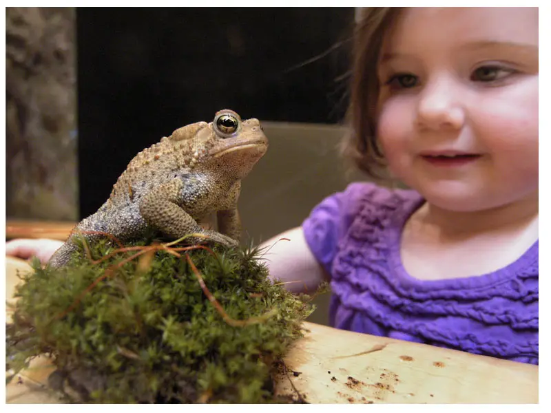 girl with toad