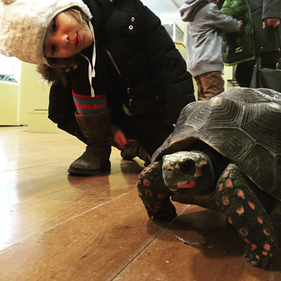 Heckscher Wild reptile house at Stamford Museum and Nature Center