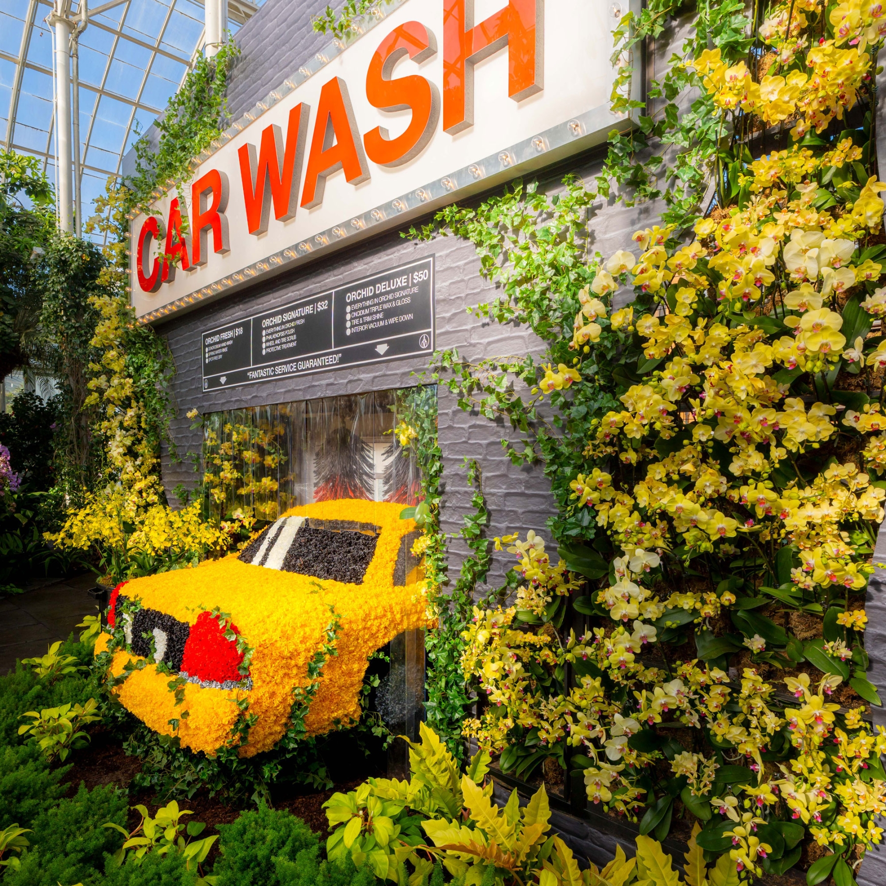 orchid show 2026 bronx