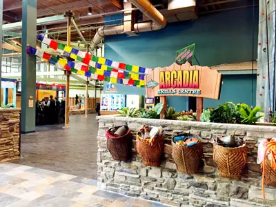 Camelback Resort's Arcadia Indoor Activities Area