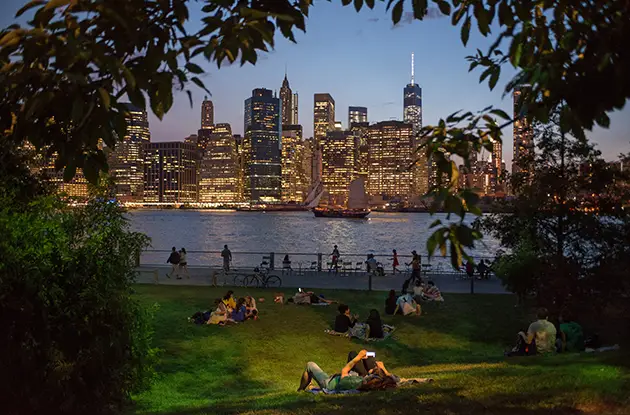 brooklyn bridge park pier 1