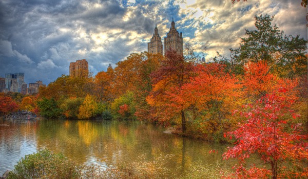 Central Park 