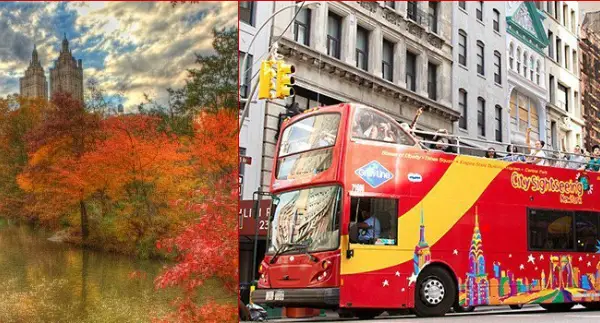 bus tours fall nyc citysightseeing