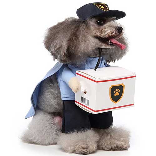 postal worker halloween costume for pets