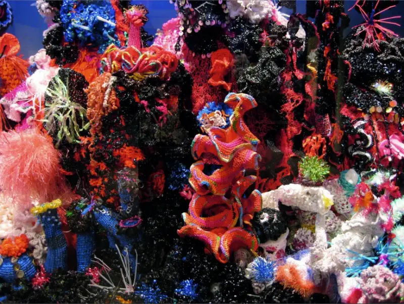 crochet coral reef toxic seas