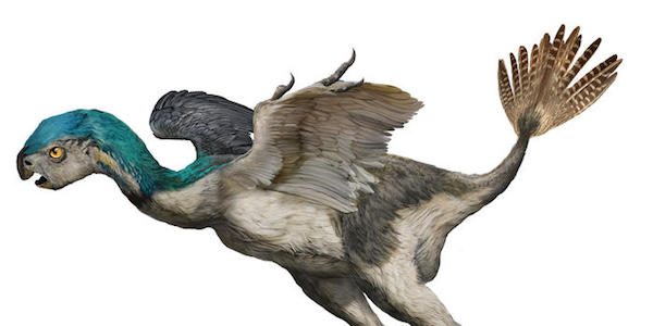 AMNH Dinosaurs Among Us 