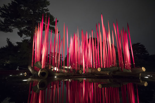 NYBG Chihuly Red Reeds on Logs 