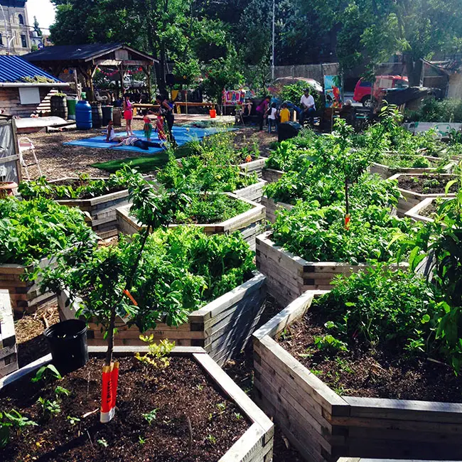 bushwick city farm