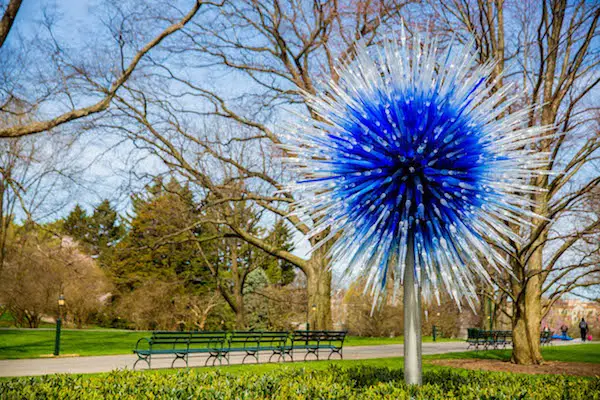CHIHULY Sapphire Star NYBG