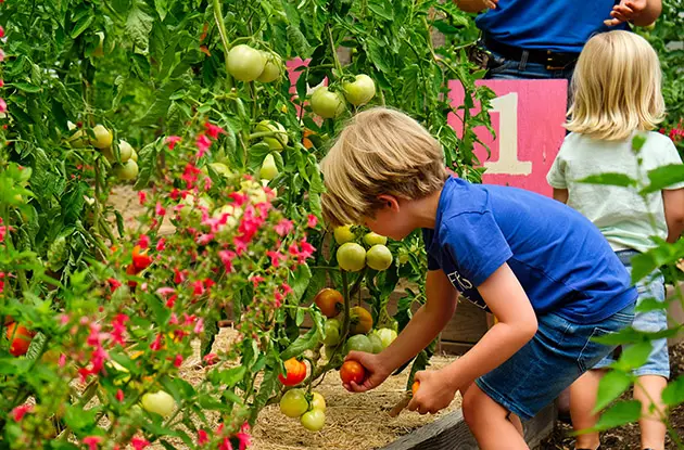 children in urban farm