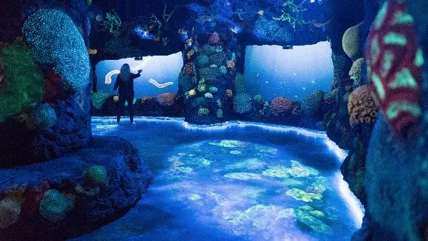 National Geographic Encounter Ocean Odyssey