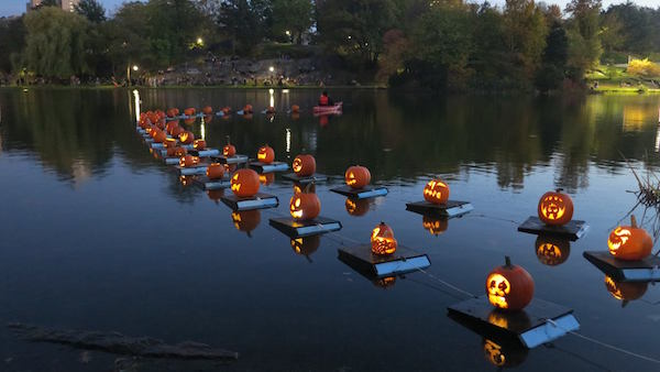 Central Park Pumpkin Flotilla