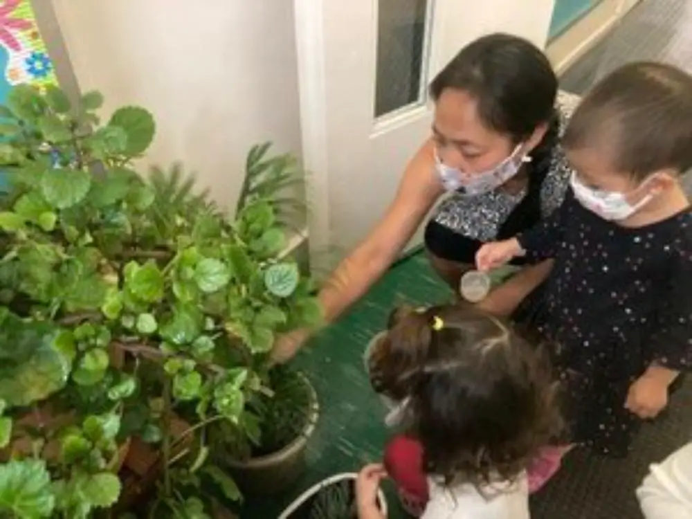 About Montessori Day School of Brooklyn - 