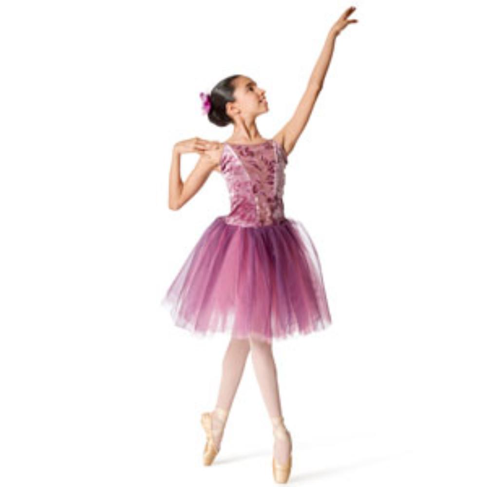 About the New York Theatre Ballet School - 