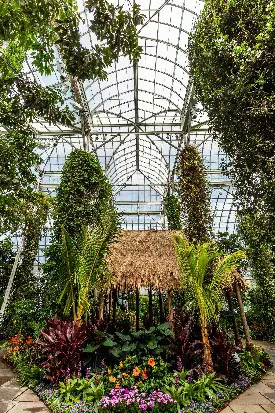 enid haupt hawaii okeeffe new york botanical