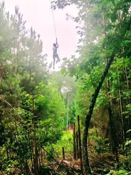 zip line go ape treetop adventure park