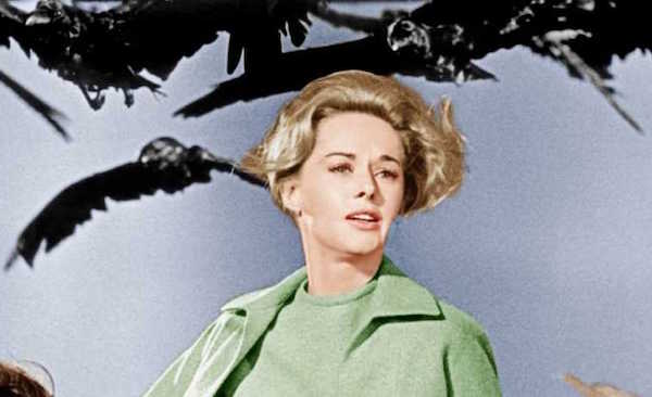 The Birds Alfred Hitchcock 