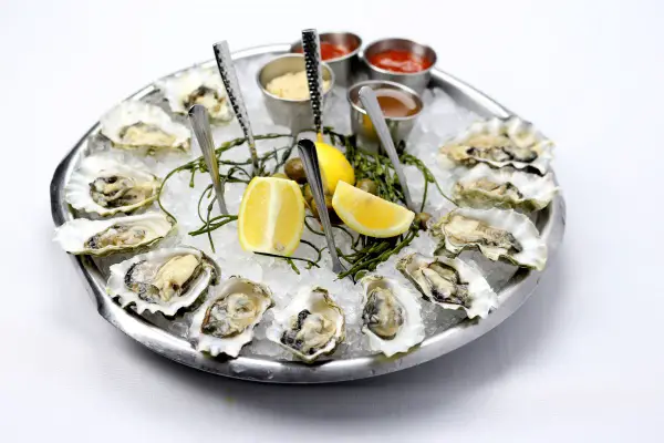 sea fire grill happy hour oyster