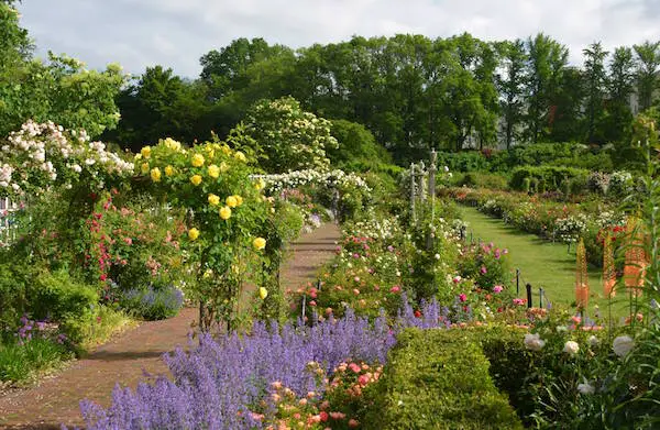 Brooklyn Botanic Garden 