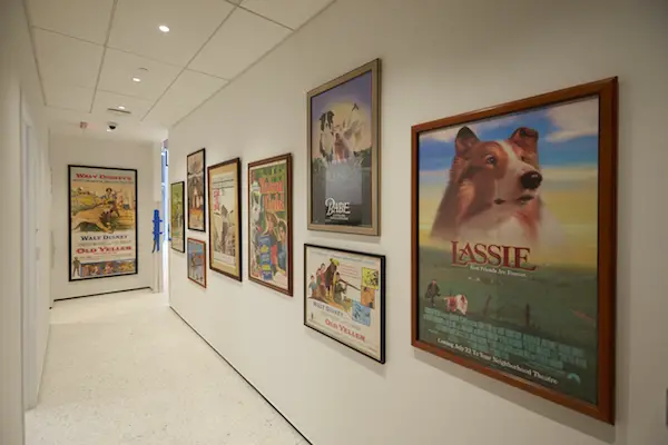 Museum of the Dog movie posters room 