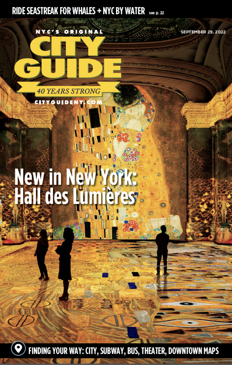 hall des lumieres city guide