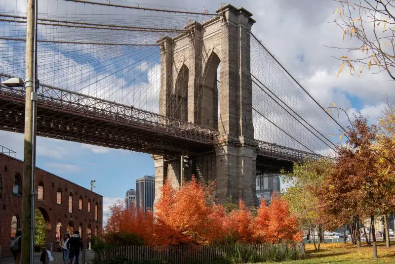 brooklyn bridge fall leaves nyc