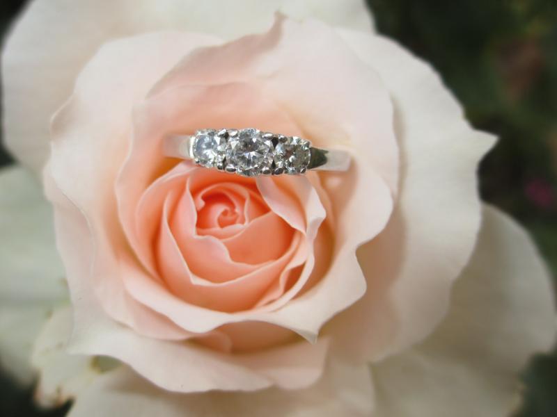 engagement ring rose