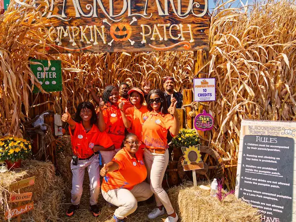 Luna Park Pumpkin Patch 