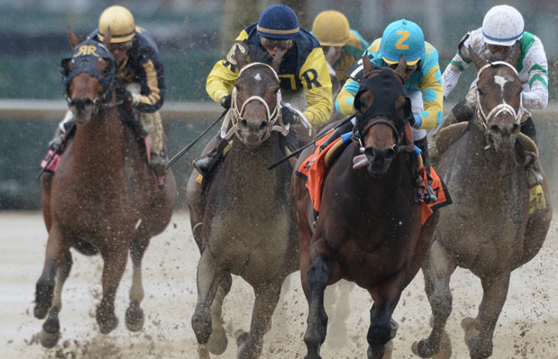 mud racing horses aqueduct