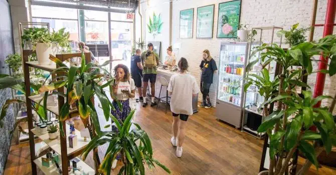come back daily cbd store in nyc