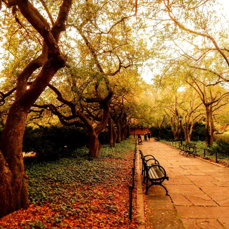 park nyc autumn